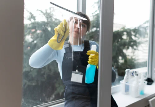 Nettoyage de vitres intérieures et extérieures à Boiscommun
